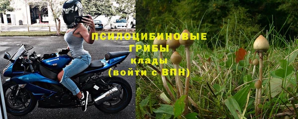 хмурый Арсеньев