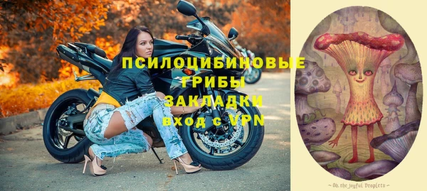 индика Семикаракорск