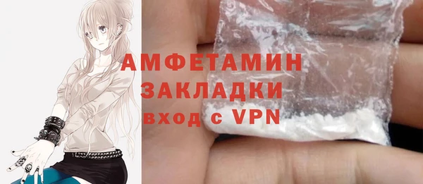 хмурый Арсеньев