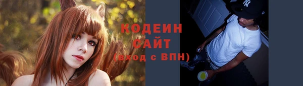 хмурый Арсеньев