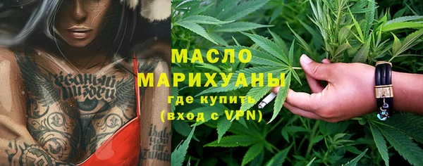 хмурый Арсеньев