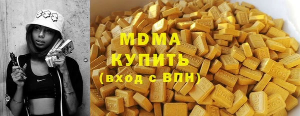 хмурый Арсеньев