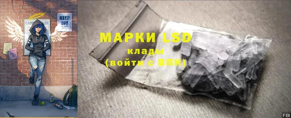 хмурый Арсеньев