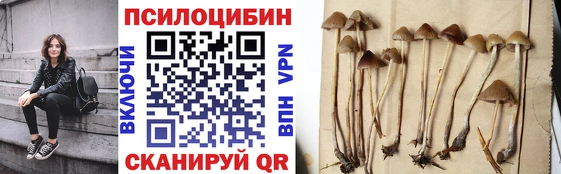 где купить Вельск Псилоцибиновые грибы MAGIC MUSHROOMS