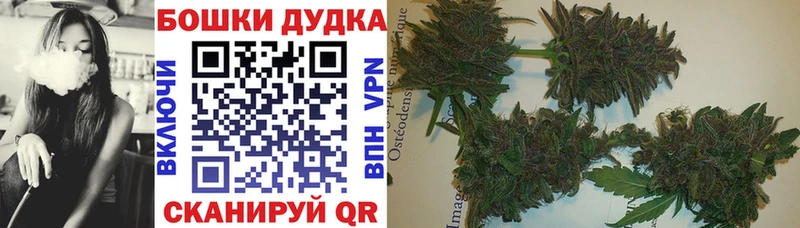 где можно купить наркотик  MEGA вход  Каннабис семена  Вельск 
